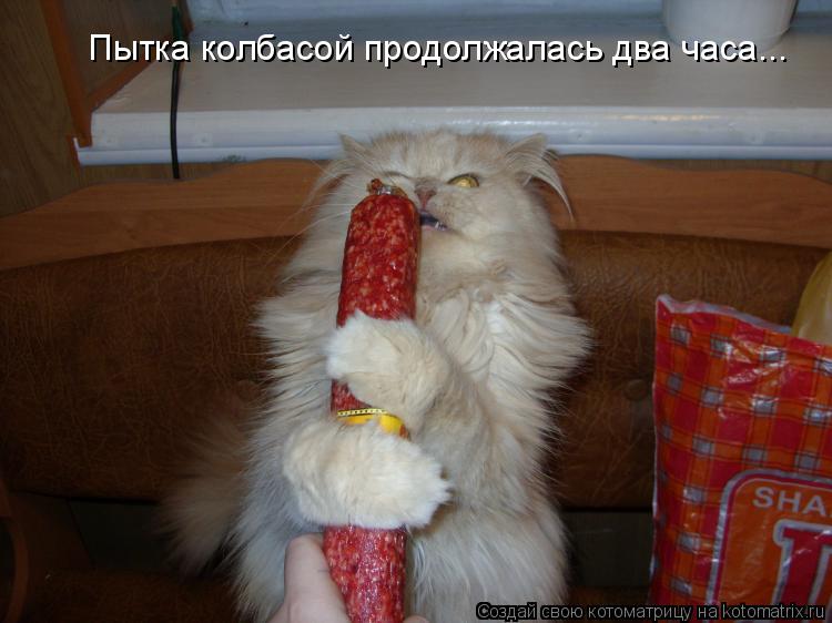 Пытка колбасой продолжалась два часа...... Котоматрица: Пытка колбасой продолжалась два часа...