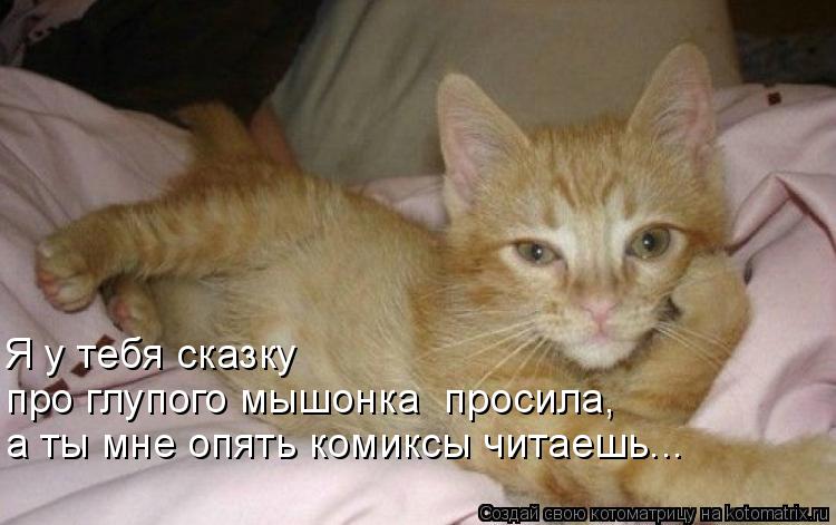Я у тебя сказку про глупого мышонка просила, а ты мне опять комиксы читаешь...... Котоматрица: Я у тебя сказку про глупого мышонка просила, а ты мне опять комиксы читаешь...