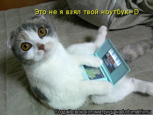 Это не я взял твой ноутбук=D... Котоматрица: Это не я взял твой ноутбук=D