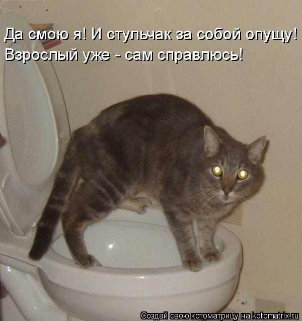 Да смою я! И стульчак за собой опущу! Взрослый уже - сам справлюсь!... Котоматрица: Да смою я! И стульчак за собой опущу! Взрослый уже - сам справлюсь!