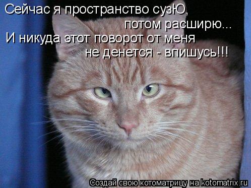 Сейчас я пространство сузЮ, потом расширю... И никуда этот поворот от меня не денется - впишусь!!!... Котоматрица: Сейчас я пространство сузЮ, потом расширю... И никуда этот поворот от меня не денется - впишусь!!!