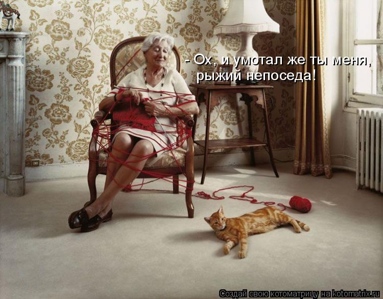 - Ох, и умотал же ты меня, рыжий непоседа!... Котоматрица: - Ох, и умотал же ты меня, рыжий непоседа!