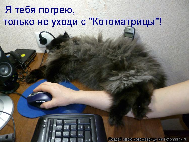 Я тебя погрею, только не уходи с "Котоматрицы"!... Котоматрица: Я тебя погрею, только не уходи с "Котоматрицы"!