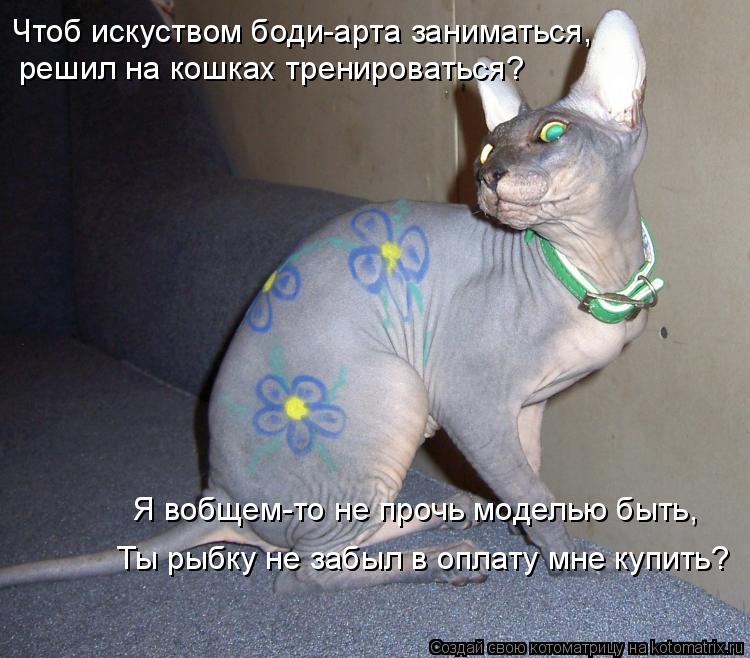 Чтоб искуством боди-арта заниматься, решил на кошках тренироваться? Я вобщем-то не прочь моделью быть... Котоматрица: Чтоб искуством боди-арта заниматься, решил на кошках тренироваться? Я вобщем-то не прочь моделью быть, Ты рыбку не забыл в оплату мне купить?