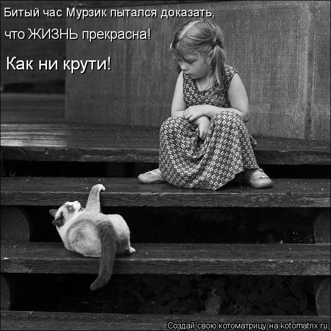 Битый час Мурзик пытался доказать, что ЖИЗНЬ прекрасна! Как ни крути!... Котоматрица: Битый час Мурзик пытался доказать, что ЖИЗНЬ прекрасна! Как ни крути!