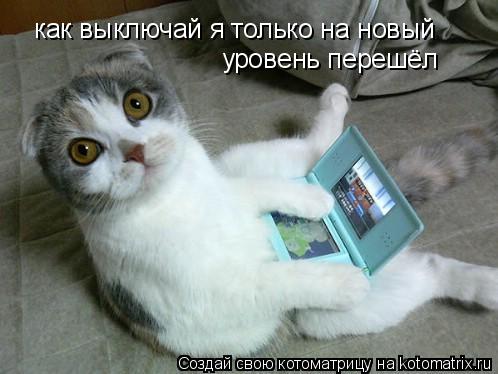 как выключай я только на новый уровень перешёл... Котоматрица: как выключай я только на новый уровень перешёл