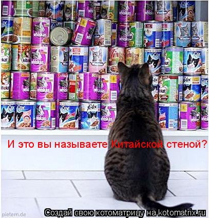 И это вы называете Китайской стеной?... Котоматрица: И это вы называете Китайской стеной?