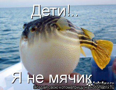 Дети!.. Я не мячик...... Котоматрица: Дети!.. Я не мячик...