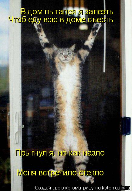 В дом пытался я залезть Чтоб еду всю в доме съесть Прыгнул я, но как назло Меня встретило стекло... Котоматрица: В дом пытался я залезть Чтоб еду всю в доме съесть Прыгнул я, но как назло Меня встретило стекло