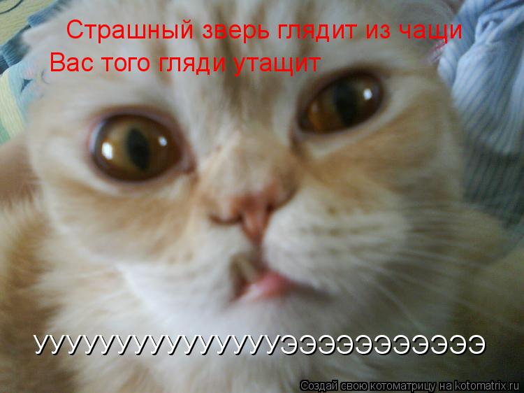 Страшный зверь глядит из чащи Вас того гляди утащит УУУУУУУУУУУУУУУЭЭЭЭЭЭЭЭЭЭЭ... Котоматрица: Страшный зверь глядит из чащи Вас того гляди утащит УУУУУУУУУУУУУУУЭЭЭЭЭЭЭЭЭЭЭ