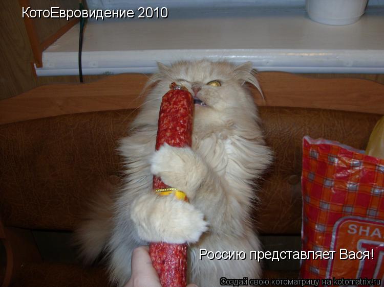 КотоЕвровидение 2010 Россию представляет Вася!... Котоматрица: КотоЕвровидение 2010 Россию представляет Вася!