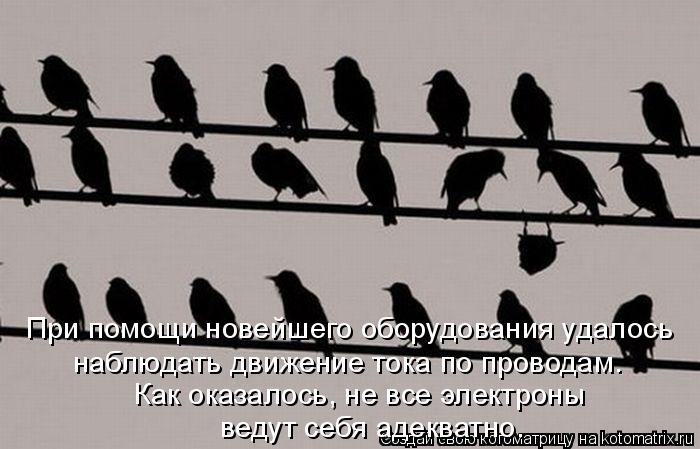 При помощи новейшего оборудования удалось наблюдать движение тока по проводам. Как оказалось, не все ... Котоматрица: При помощи новейшего оборудования удалось наблюдать движение тока по проводам. Как оказалось, не все электроны ведут себя адекватно.