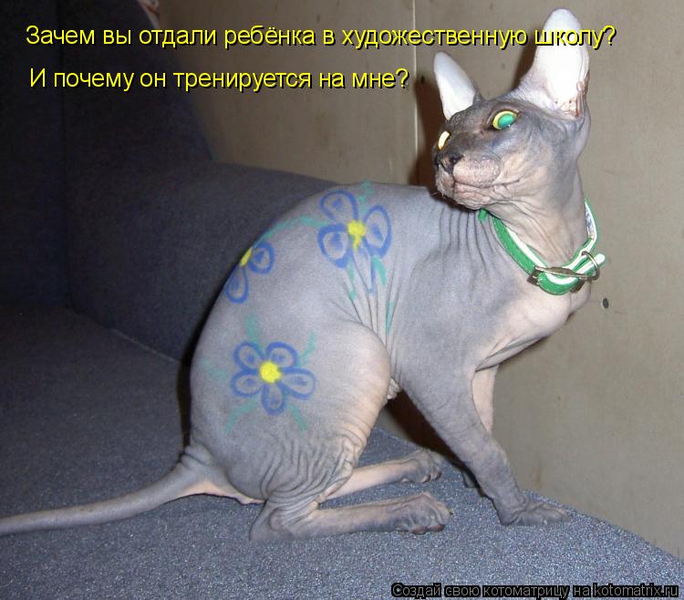 Зачем вы отдали ребёнка в художественную школу? И почему он тренируется на мне?... Котоматрица: Зачем вы отдали ребёнка в художественную школу? И почему он тренируется на мне?