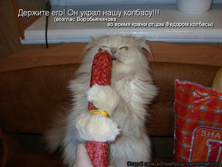 Держите его! Он украл нашу колбасу!!! (возглас Воробьянинова во время кражи отцом Федором колбасы)... Котоматрица: Держите его! Он украл нашу колбасу!!! (возглас Воробьянинова во время кражи отцом Федором колбасы)
