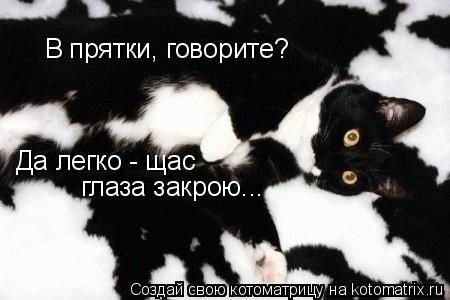 В прятки, говорите? Да легко - щас глаза закрою...... Котоматрица: В прятки, говорите? Да легко - щас глаза закрою...