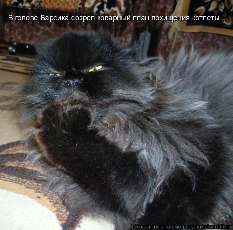 В голове Барсика созрел коварный план похищения котлеты...... Котоматрица: В голове Барсика созрел коварный план похищения котлеты...