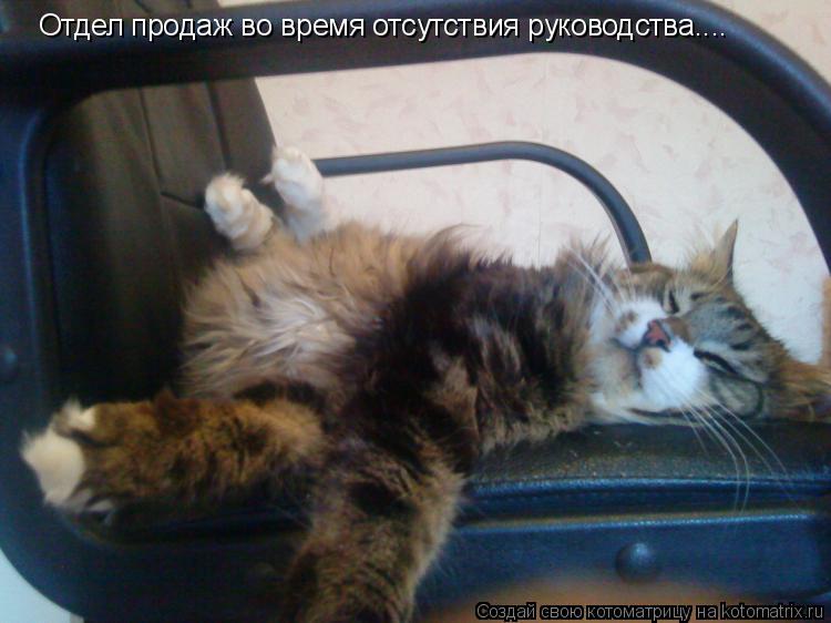 Отдел продаж во время отсутствия руководства....... Котоматрица: Отдел продаж во время отсутствия руководства....