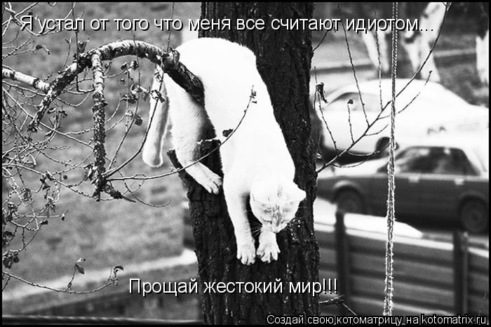 Я устал от того что меня все считают идиотом... Прощай жестокий мир!!!... Котоматрица: Я устал от того что меня все считают идиотом... Прощай жестокий мир!!!