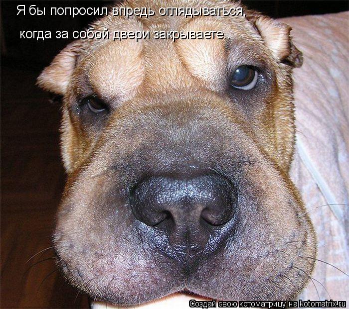 Я бы попросил впредь оглядываться, когда за собой двери закрываете..... Котоматрица: Я бы попросил впредь оглядываться, когда за собой двери закрываете..