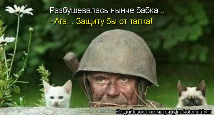 Котоматрица: - Разбушевалась нынче бабка... - Ага... Защиту бы от тапка!