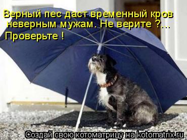 Верный пес даст временный кров неверным мужам. Не верите ?... Проверьте !... Котоматрица: Верный пес даст временный кров неверным мужам. Не верите ?... Проверьте !