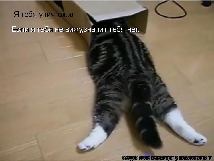 Я тебя уничтожил Если я тебя не вижу,значит тебя нет.... Котоматрица: Я тебя уничтожил Если я тебя не вижу,значит тебя нет.