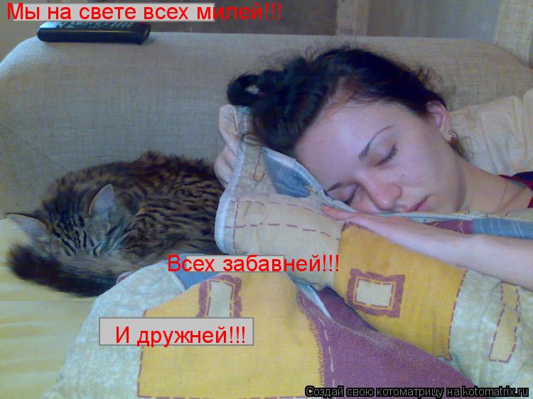 Мы на свете всех милей!!! Всех забавней!!! И дружней!!!... Котоматрица: Мы на свете всех милей!!! Всех забавней!!! И дружней!!!