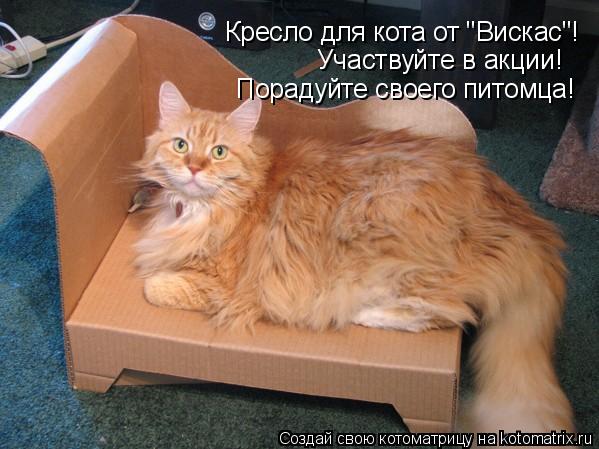 Кресло для кота от "Вискас"! Участвуйте в акции! Порадуйте своего питомца!... Котоматрица: Кресло для кота от "Вискас"! Участвуйте в акции! Порадуйте своего питомца!