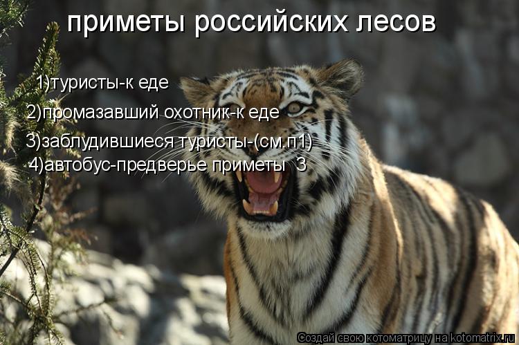 приметы российских лесов 1)туристы-к еде 2)промазавший охотник-к еде 3)заблудившиеся туристы-(см.п1) ... Котоматрица: приметы российских лесов 1)туристы-к еде 2)промазавший охотник-к еде 3)заблудившиеся туристы-(см.п1) 4)автобус-предверье приметы №3