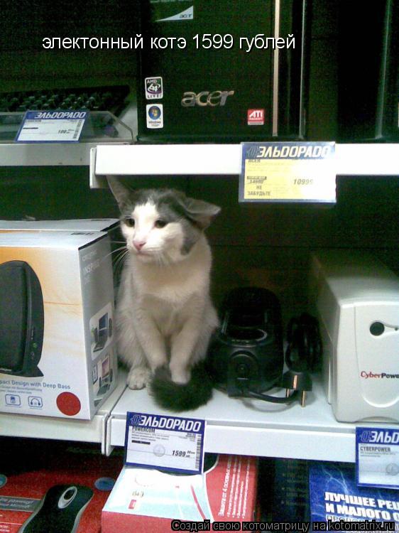 электонный котэ 1599 гублей... Котоматрица: электонный котэ 1599 гублей