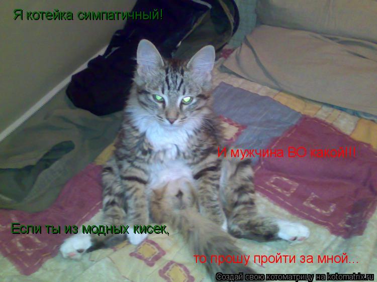 Я котейка симпатичный! И мужчина ВО какой!!! Если ты из модных кисек, то прошу пройти за мной...... Котоматрица: Я котейка симпатичный! И мужчина ВО какой!!! Если ты из модных кисек, то прошу пройти за мной...