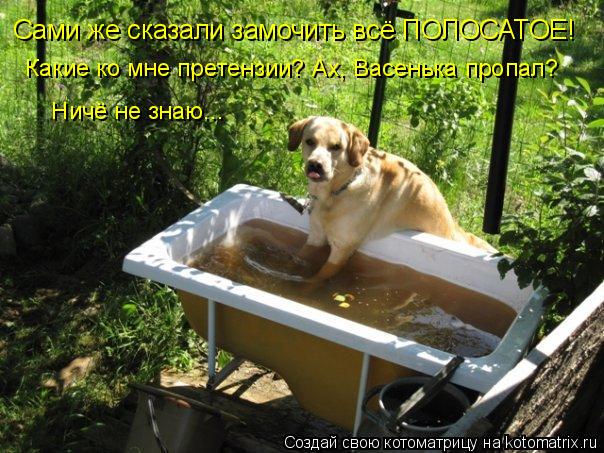 Сами же сказали замочить всё ПОЛОСАТОЕ! Какие ко мне претензии? Ах, Васенька пропал? Ничё не знаю...... Котоматрица: Сами же сказали замочить всё ПОЛОСАТОЕ! Какие ко мне претензии? Ах, Васенька пропал? Ничё не знаю...