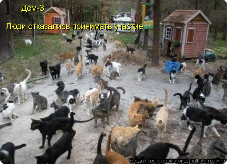 Дом- Дом-3 Люди отказались принимать участие... Котоматрица: Дом- Дом-3 Люди отказались принимать участие