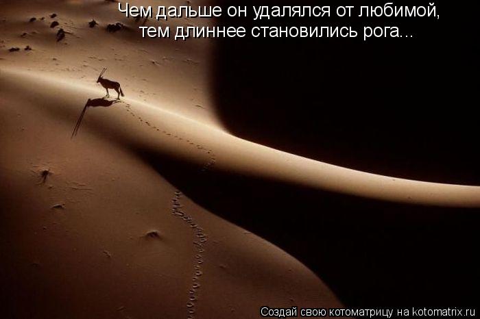 Чем дальше он удалялся от любимой, тем длиннее становились рога...... Котоматрица: Чем дальше он удалялся от любимой, тем длиннее становились рога...