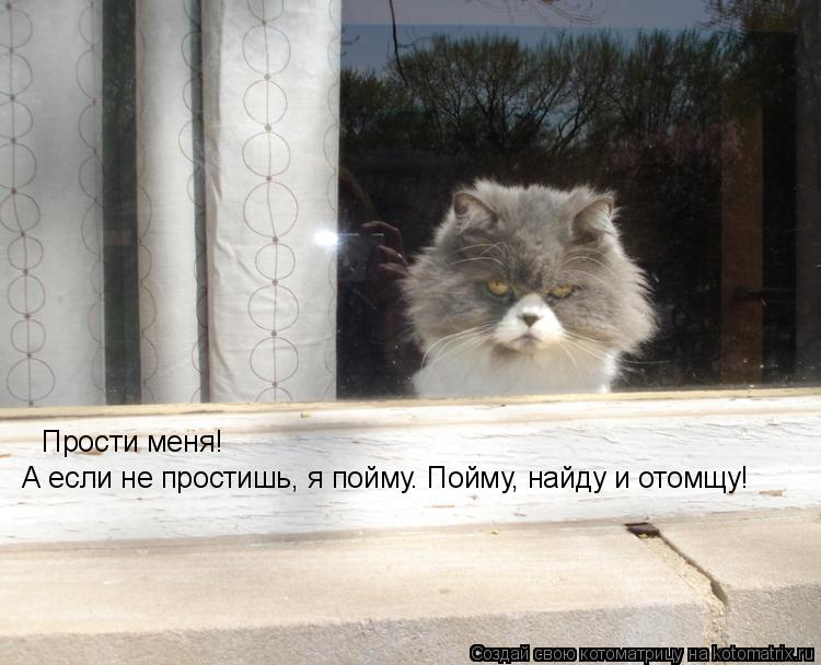 Прости меня! А если не простишь, я пойму. Пойму, найду и отомщу!... Котоматрица: Прости меня! А если не простишь, я пойму. Пойму, найду и отомщу!