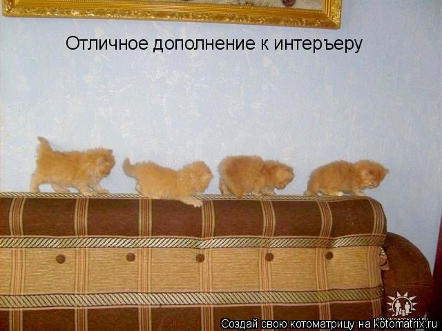 Отличное дополнение к интеръеру... Котоматрица: Отличное дополнение к интеръеру
