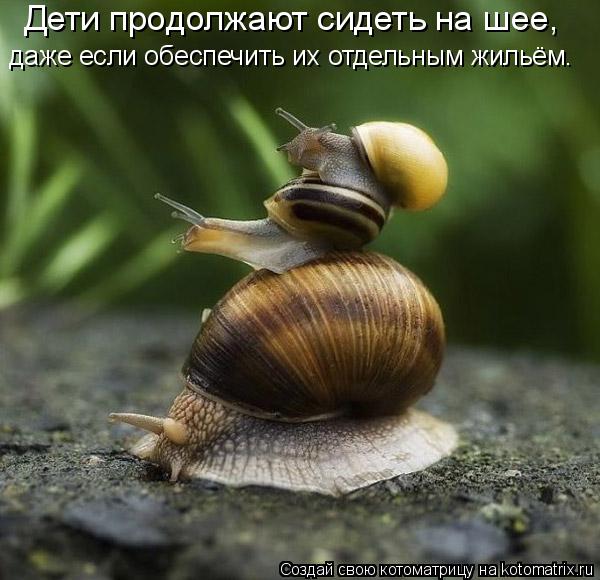 Дети продолжают сидеть на шее, даже если обеспечить их отдельным жильём.... Котоматрица: Дети продолжают сидеть на шее, даже если обеспечить их отдельным жильём.