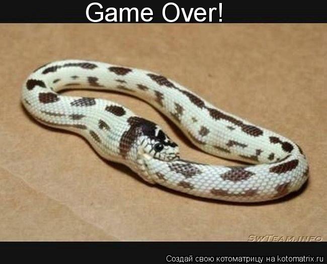 Game Over!... Котоматрица: Game Over!