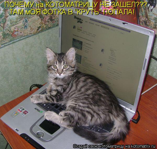 ПОЧЕМУ на КОТОМАТРИЦУ НЕ ЗАШЕЛ??? ТАМ мОЯ ФОТКА В "КРУТЬ" ПОПАЛА!... Котоматрица: ПОЧЕМУ на КОТОМАТРИЦУ НЕ ЗАШЕЛ??? ТАМ мОЯ ФОТКА В "КРУТЬ" ПОПАЛА!