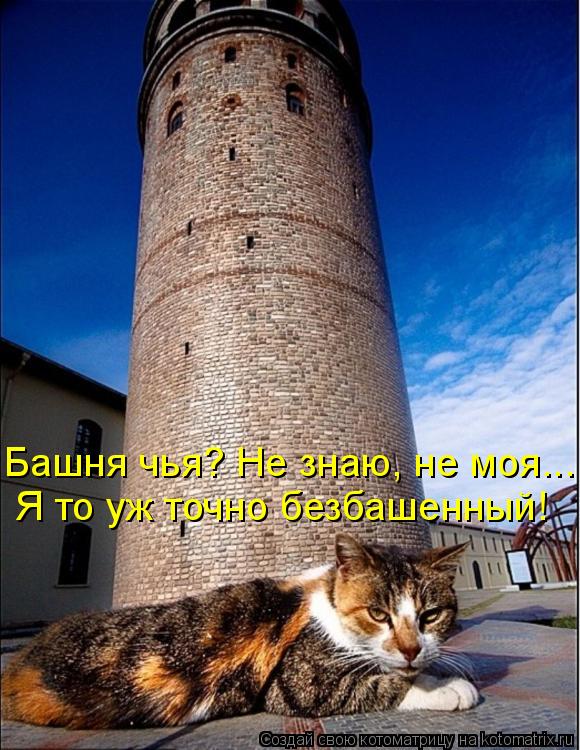 Котоматрица: Башня чья? Не знаю, не моя... Я то уж точно безбашенный!