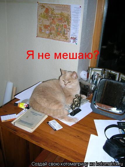 Я не мешаю?... Котоматрица: Я не мешаю?