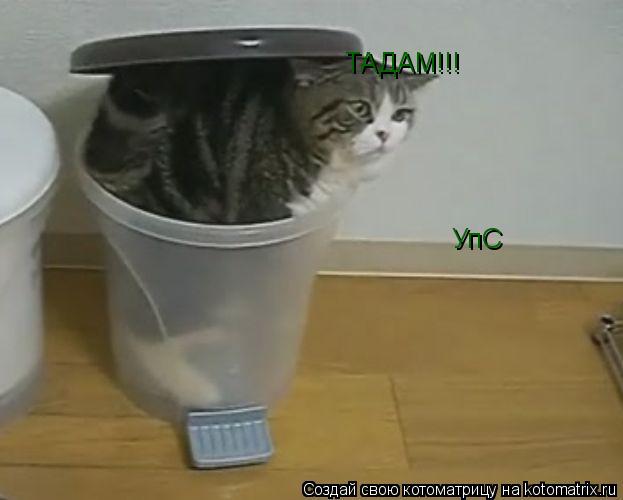ТАДАМ!!! УпС... Котоматрица: ТАДАМ!!! УпС