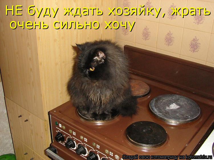 НЕ буду ждать хозяйку, жрать очень сильно хочу НЕ буду ждать хозяйку, жрать очень сильно хочу очень ... Котоматрица: НЕ буду ждать хозяйку, жрать очень сильно хочу НЕ буду ждать хозяйку, жрать очень сильно хочу очень сильно хочу