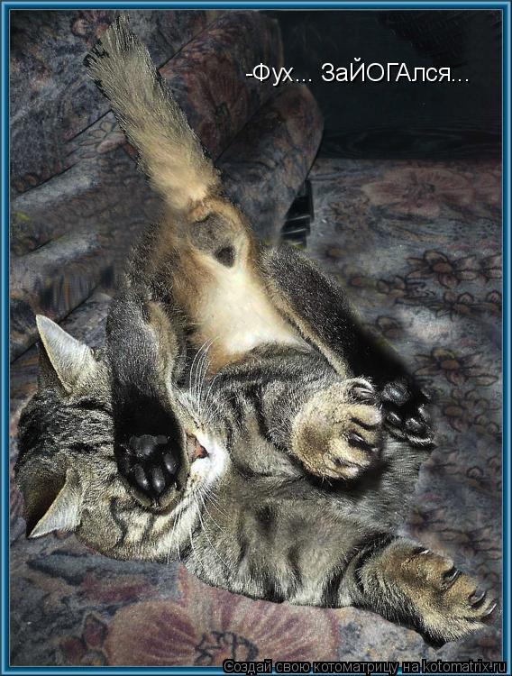 -Фух... ЗаЙОГАлся...... Котоматрица: -Фух... ЗаЙОГАлся...