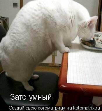 Зато умный!... Котоматрица: Зато умный!