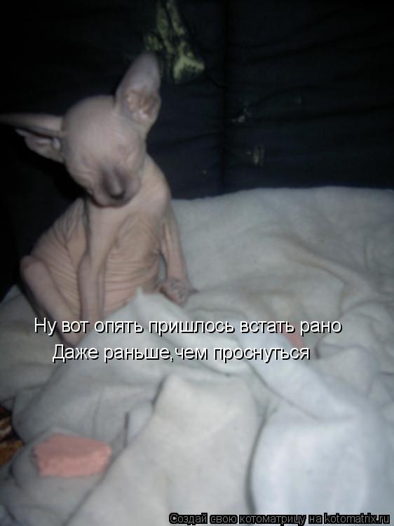 Ну вот опять пришлось встать рано Даже раньше,чем проснуться... Котоматрица: Ну вот опять пришлось встать рано Даже раньше,чем проснуться