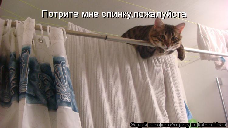 Потрите мне спинку,пожалуйста... Котоматрица: Потрите мне спинку,пожалуйста