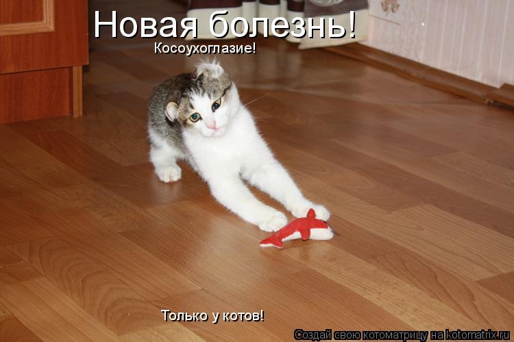 Новая болезнь! Косоухоглазие! Только у котов!... Котоматрица: Новая болезнь! Косоухоглазие! Только у котов!