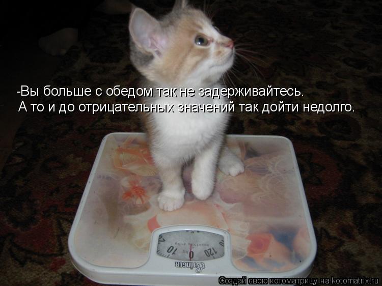 -Вы больше с обедом так не задерживайтесь. А то и до отрицательных значений так дойти недолго.... Котоматрица: -Вы больше с обедом так не задерживайтесь. А то и до отрицательных значений так дойти недолго.