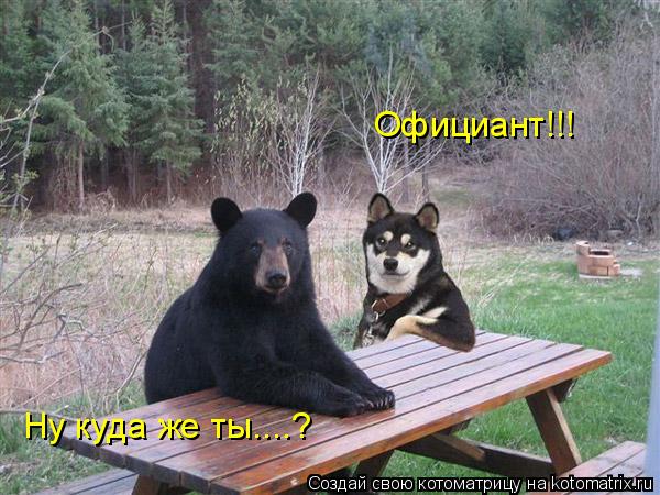 Официант!!! Ну куда же ты....?... Котоматрица: Официант!!! Ну куда же ты....?